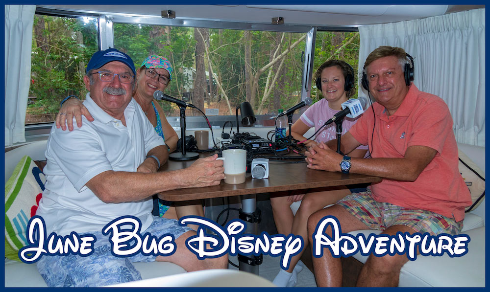 June Bug Disney Adventure